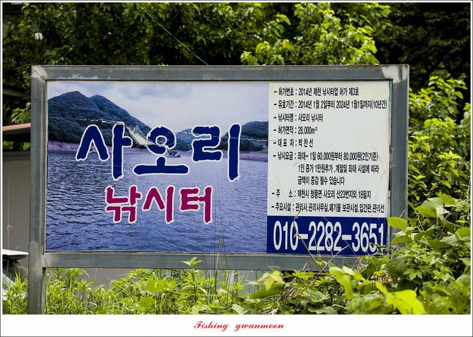 사오리 445 cm41 cm 대물 조황 (조황조행기 - 특파원조황)