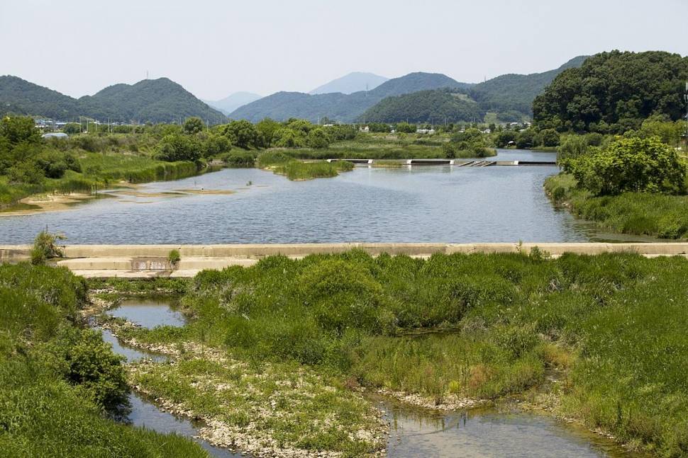 괴산음성 저수지 및 목벌 낚시터 조황 (조황조행기 - 특파원조황)