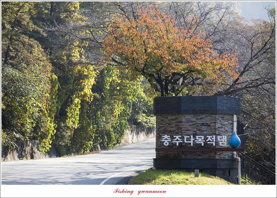 솔 4 짜 및 명서 월척 조황 (조황조행기 - 특파원조황)