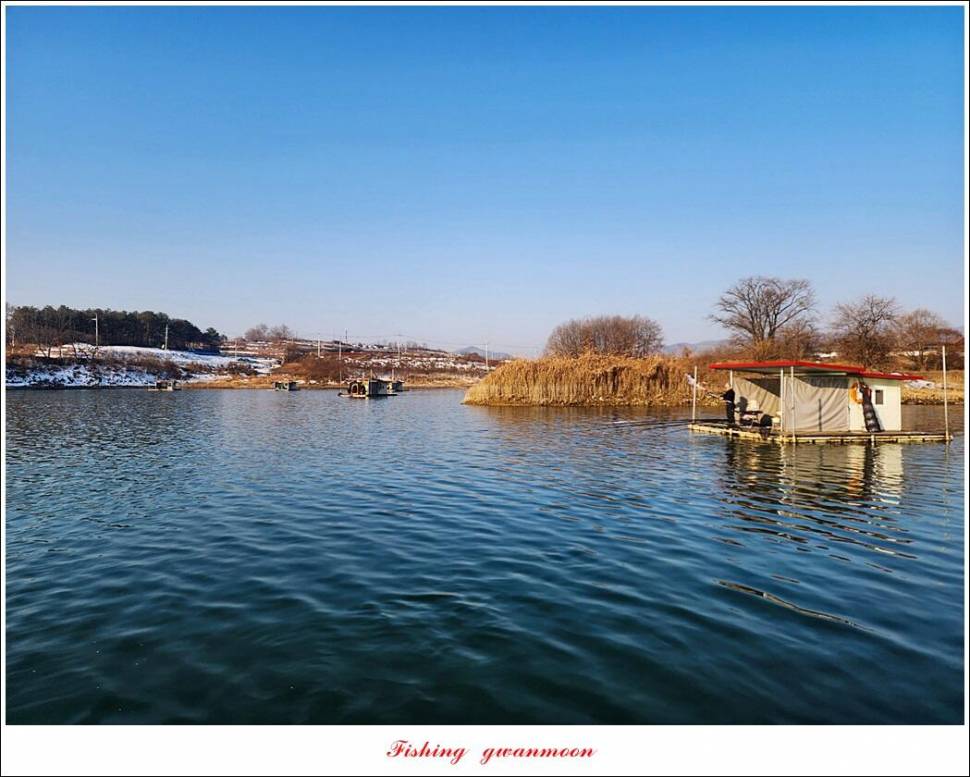 솔 월척한버들 월척 조황 (조황조행기 - 특파원조황)