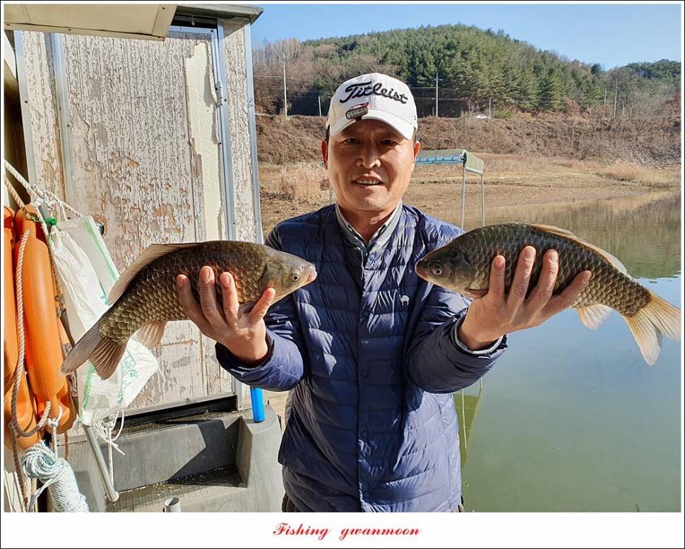 실리곡 4 짜신리 4 짜노지 4 짜 조황 (조황조행기 - 특파원조황)
