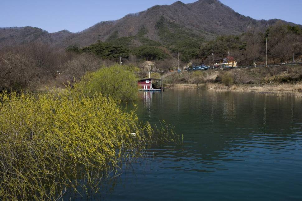 한버들 4 짜솔 38 cm화곡지 4 짜달천강 4 짜 (조황조행기 - 특파원조황)