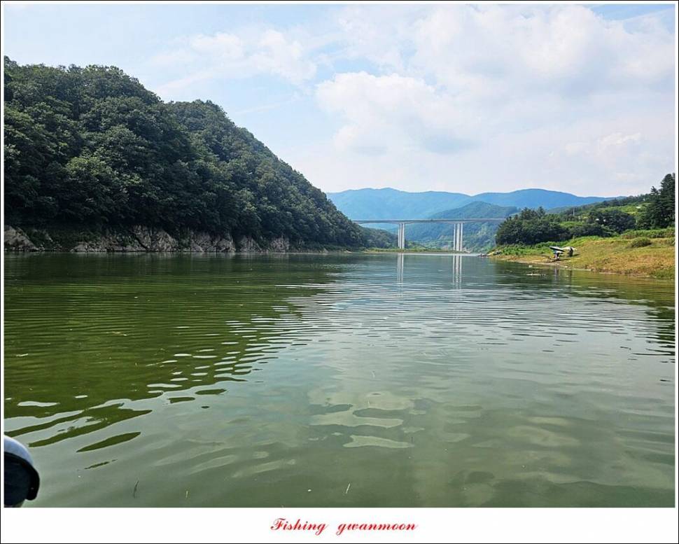 명서한버들 조황 소식 (조황조행기 - 특파원조황)