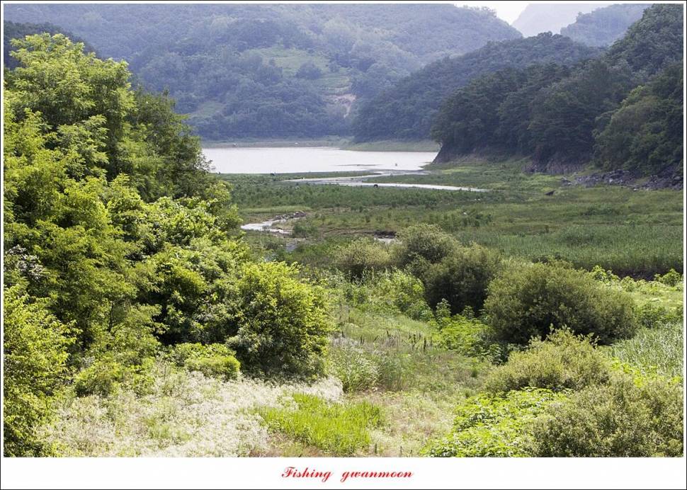 한버들 4 짜 2 수신리 4 짜명서 4 짜 및 충주호 노지 현황 (조황조행기 - 특파원조황)