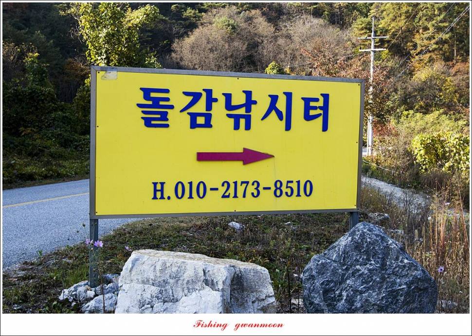 돌감 4 짜 대물 조황 (조황조행기 - 특파원조황)