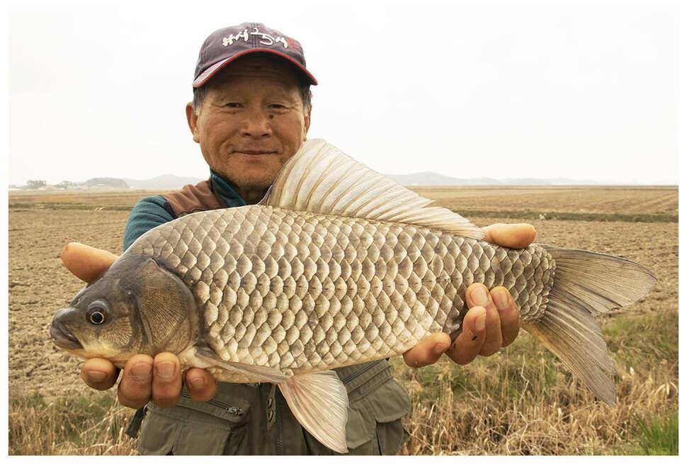 4월20일 부남호 45cm 대물마릿수 조황 (조황조행기 - 특파원조황)
