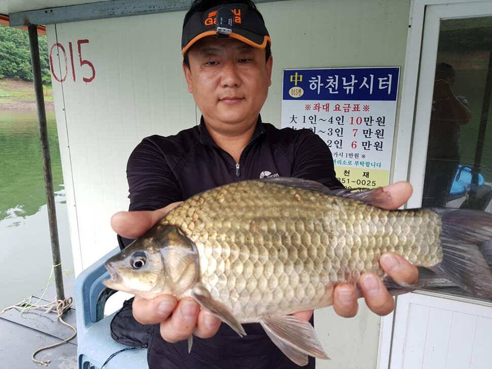 목벌 낚시터 4짜 대물붕어 하천 낚시터 허리급 조황 (조황조행기 - 특파원조황)