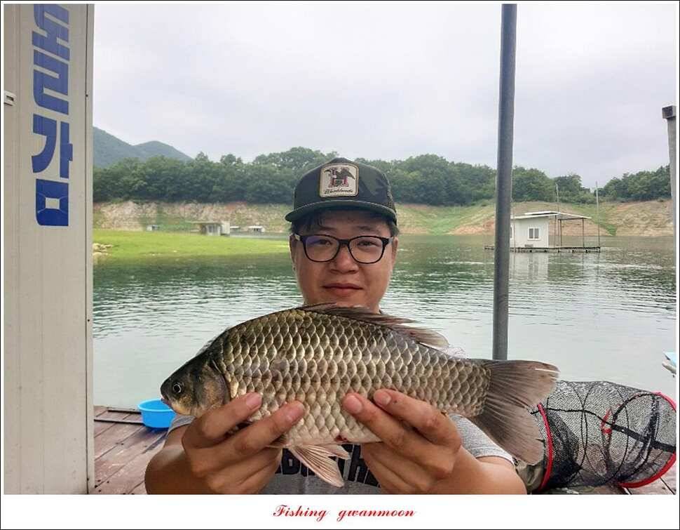 돌감 38 cm36 cm35 cm제일 낚시터 현황 (조황조행기 - 특파원조황)
