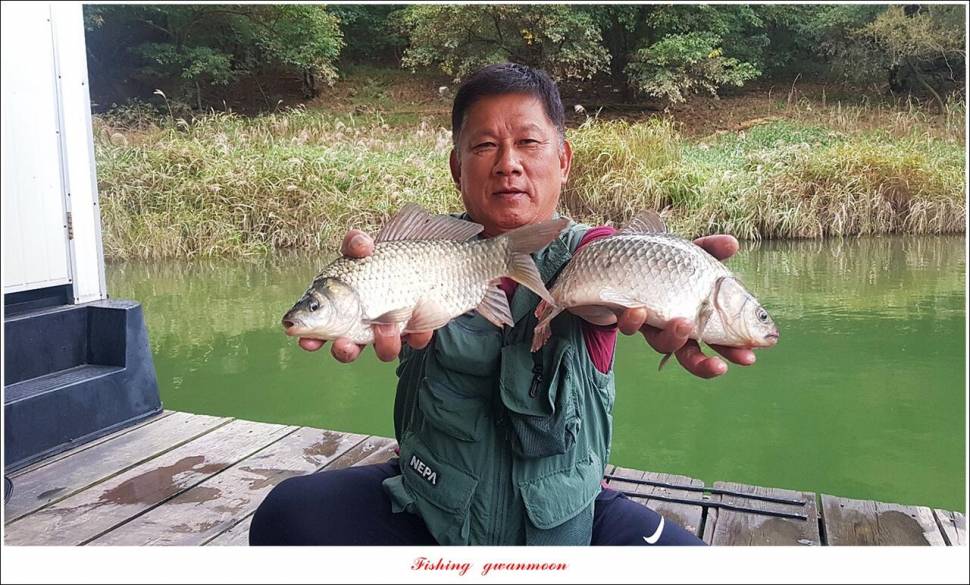 충주호 현황 및 화곡지 4 짜 조황 (조황조행기 - 특파원조황)