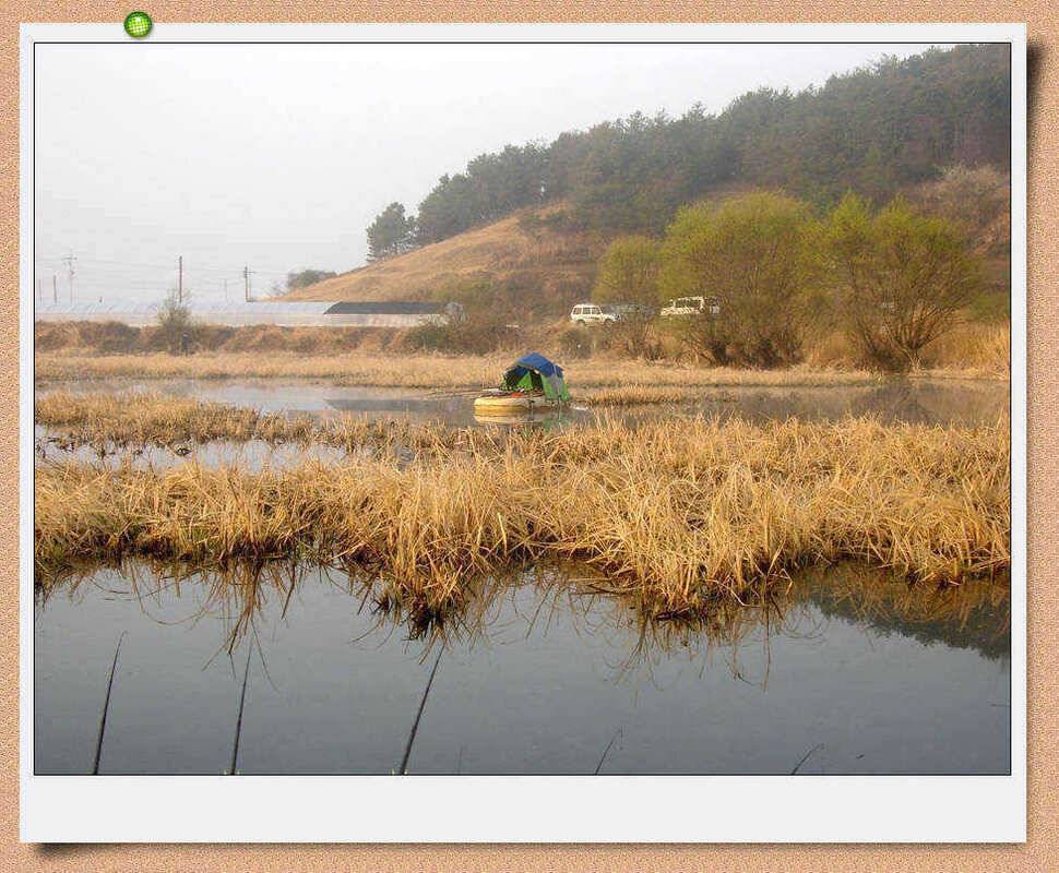 의령 낙서면 소제 무명늪지조황 4짜 외다수 (조황조행기 - 특파원조황)