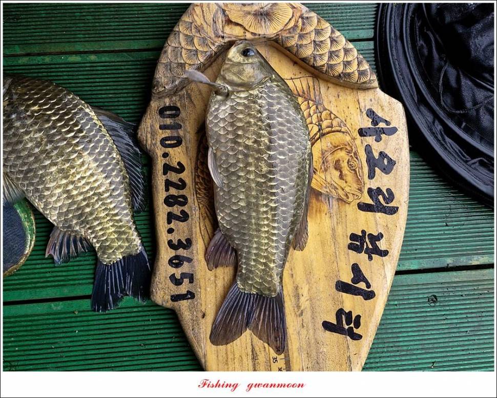 사오리 4 짜 조황 (조황조행기 - 특파원조황)