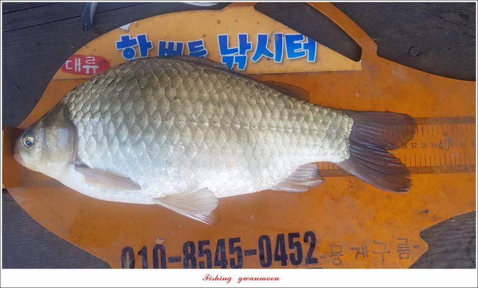 신리 4 짜 7 수실리곡 4 짜 4 수한버들 4 짜 3 수 (조황조행기 - 특파원조황)
