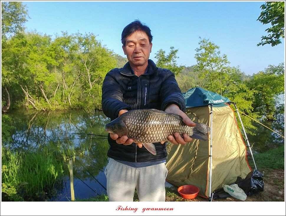 제일 월척칠성지 대물 조황 (조황조행기 - 특파원조황)