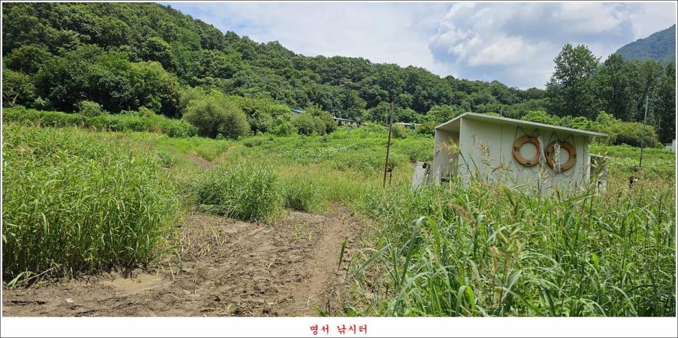 제일 낚시터 대박 조황명서 낚시터 호조황 (조황조행기 - 특파원조황)