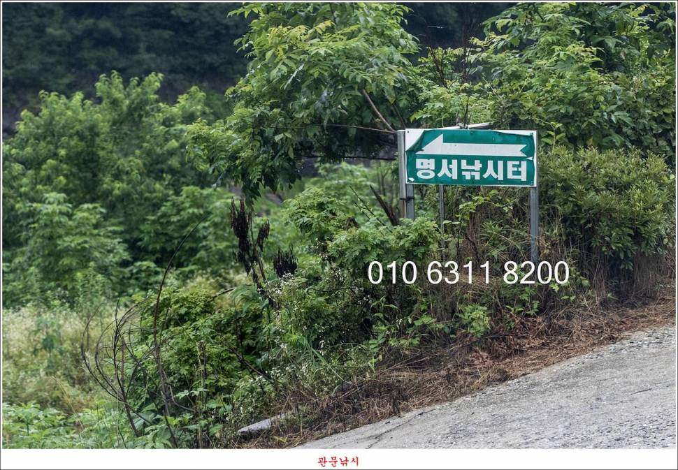 제일 낚시터 대박 조황명서 낚시터 호조황 (조황조행기 - 특파원조황)