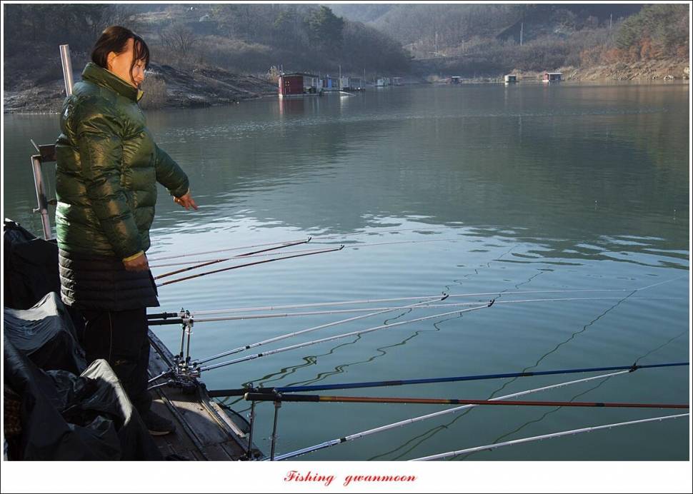 한버들 왕중왕전 대회신리 465 cm 대물 돌감 37 cm34 cm월척 조황 (조황조행기 - 특파원조황)
