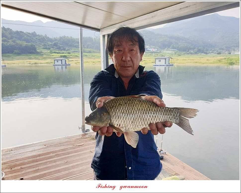 제일돌감 월척 조황 (조황조행기 - 특파원조황)