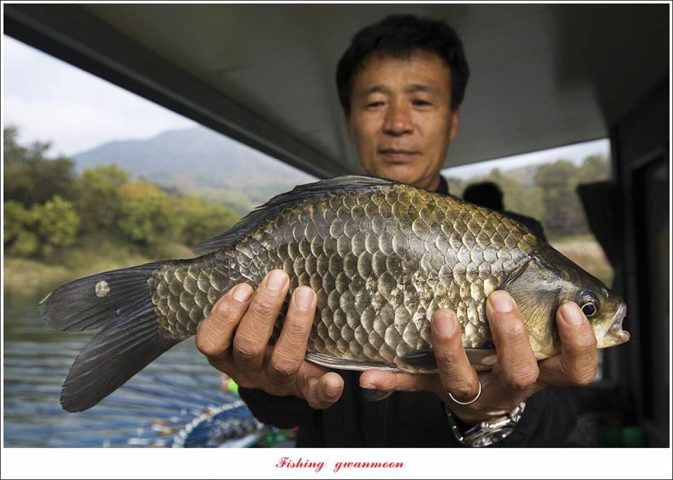 돌감 4 짜솔 39 cm38 cm마릿수 월척 조황 (조황조행기 - 특파원조황)