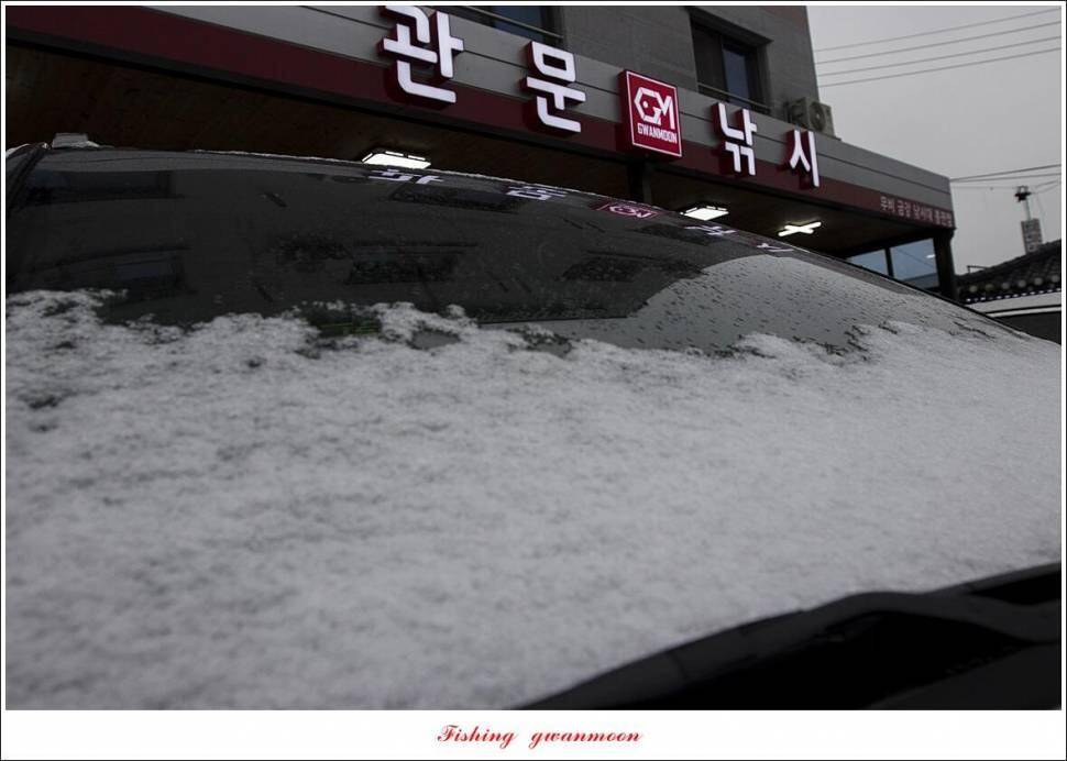 돌감 38 cm 및 화곡지외 주변 조황 (조황조행기 - 특파원조황)