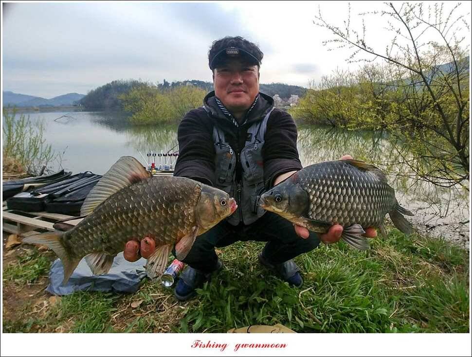 화곡지 사짜칠성지갈마늪대제지추평지 조황 (조황조행기 - 특파원조황)