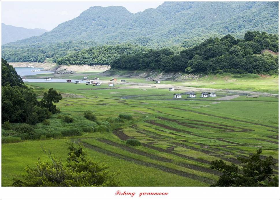 화곡지 조황 및 충주호 오름수위 현황 (조황조행기 - 특파원조황)