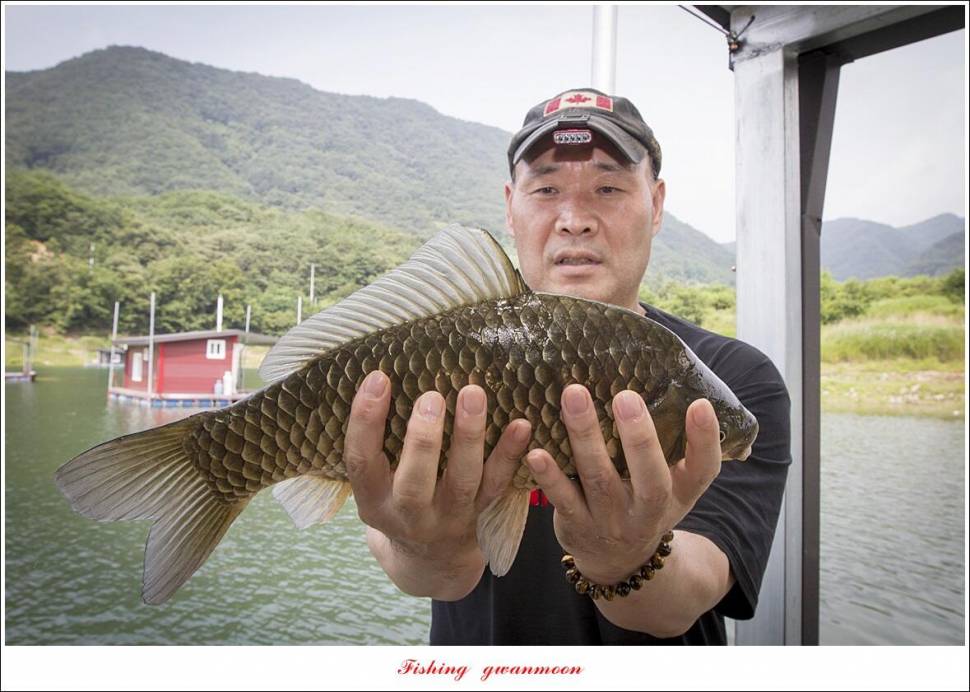 제일솔종점 4 짜 대물 및 화곡지 호조황 (조황조행기 - 특파원조황)