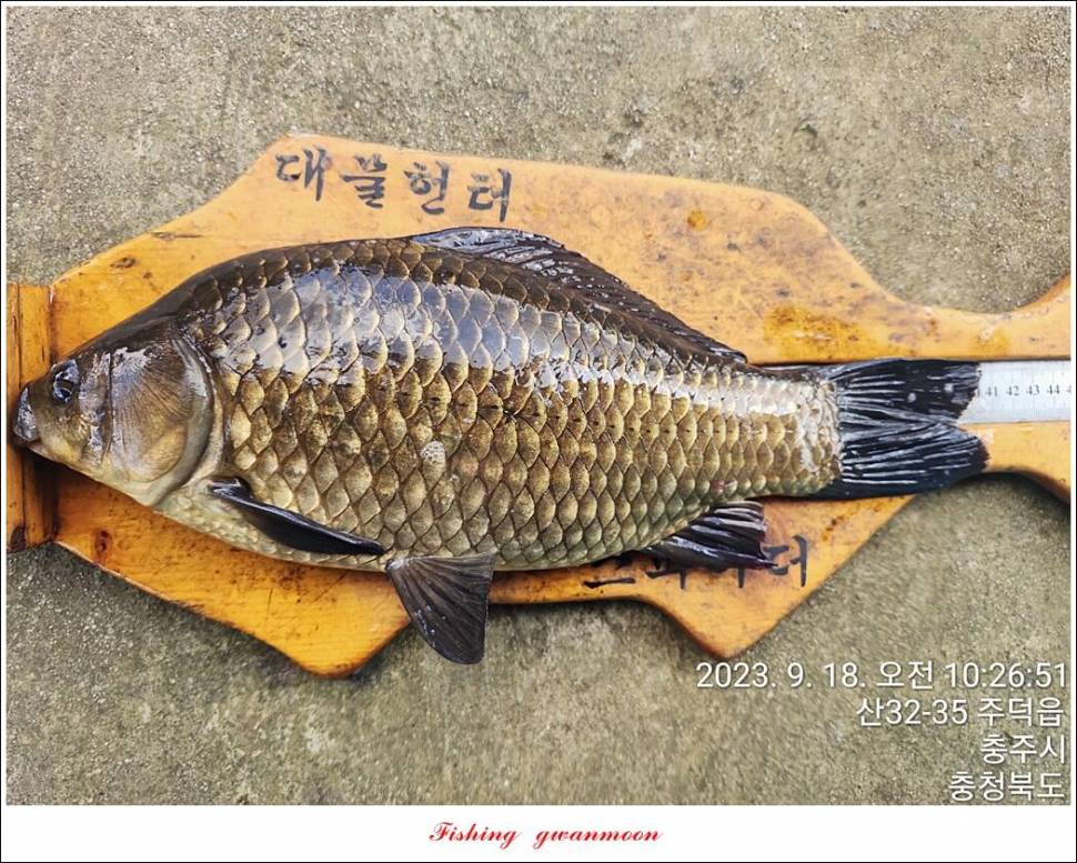 화곡지 4 짜 및 주말 조황 (조황조행기 - 특파원조황)
