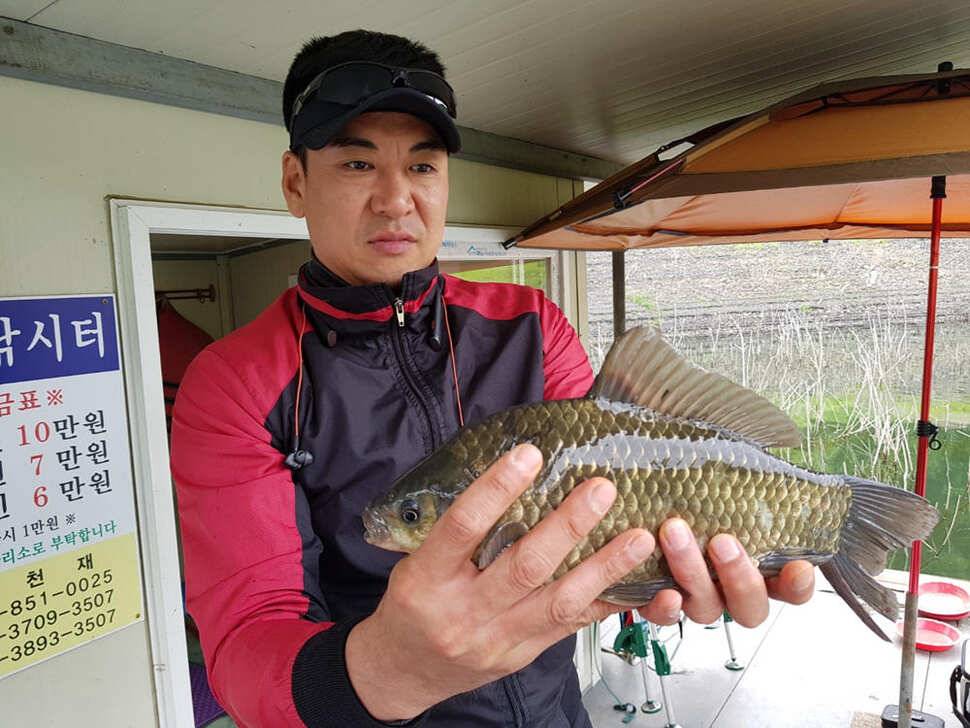 하천낚시터 41cm 대물붕어 소식 (조황조행기 - 특파원조황)