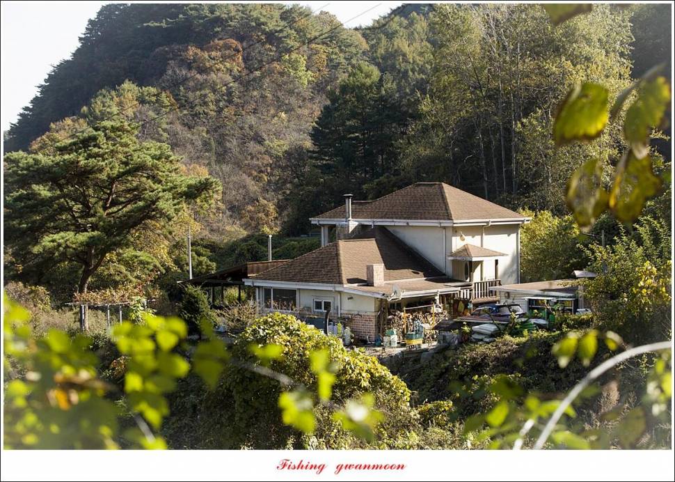 용원지 4 짜충주호 단풍낚시 (조황조행기 - 특파원조황)
