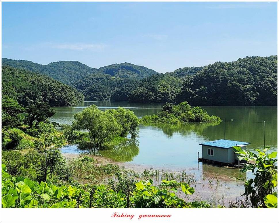 충주호 만수위 및 신리 4 짜 대물 조황 (조황조행기 - 특파원조황)