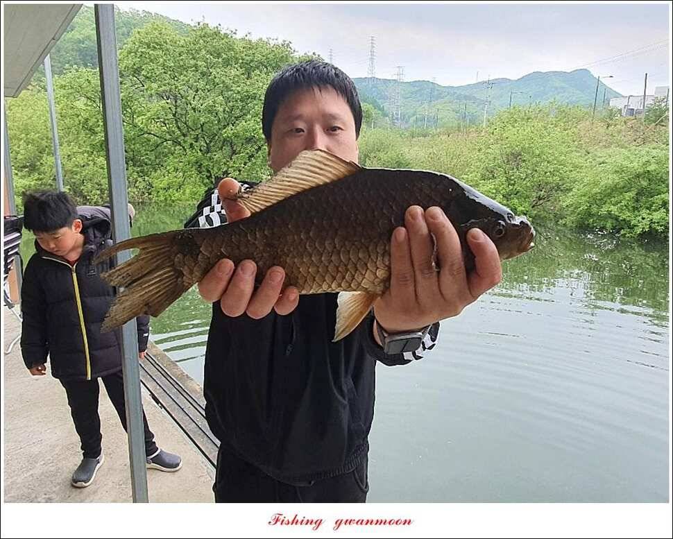 노지 4 짜신리 4 짜화곡지 4 짜 대물 조황 (조황조행기 - 특파원조황)