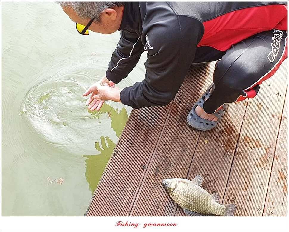 한버들 4 짜 2 수신리 4 짜실리곡 월척칠성지 4 짜 조황 (조황조행기 - 특파원조황)