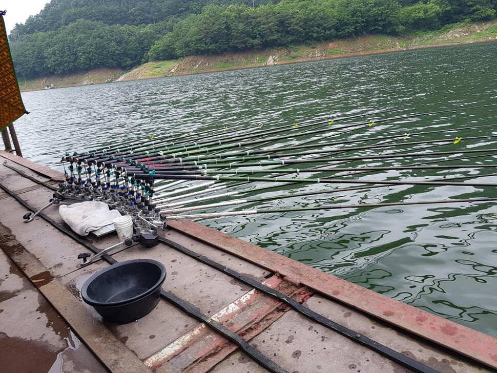 목벌 낚시터 4짜 대물붕어 하천 낚시터 허리급 조황 (조황조행기 - 특파원조황)