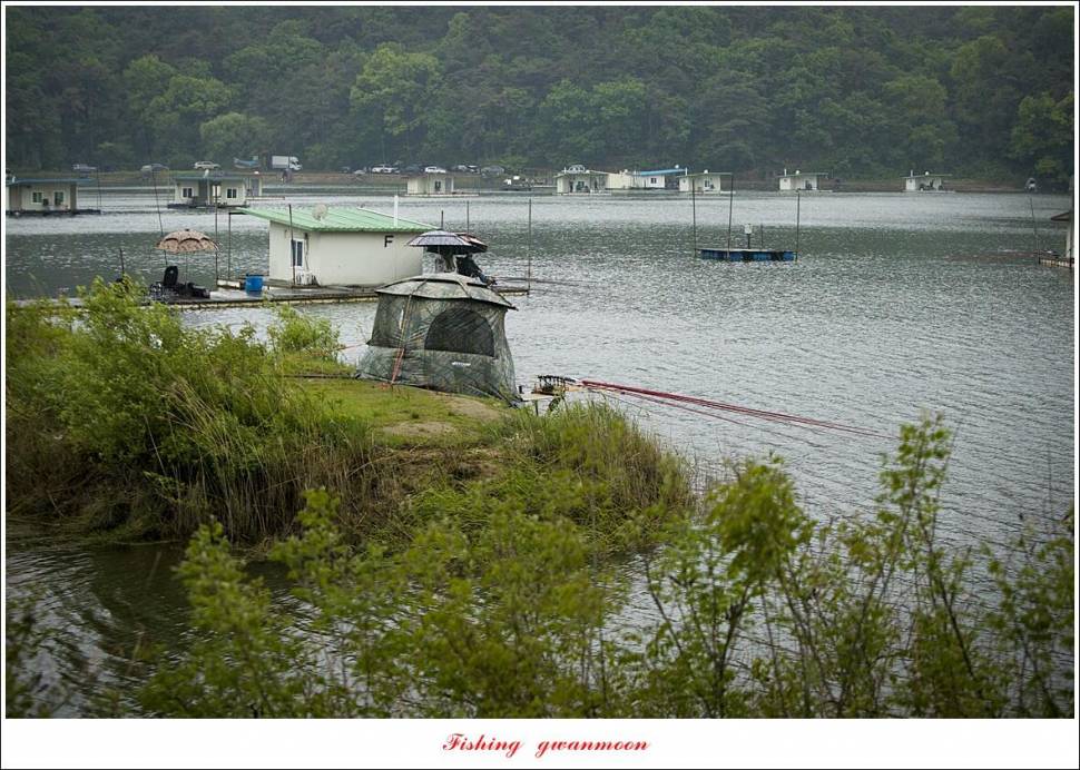 악천후 주말 소식 (조황조행기 - 특파원조황)