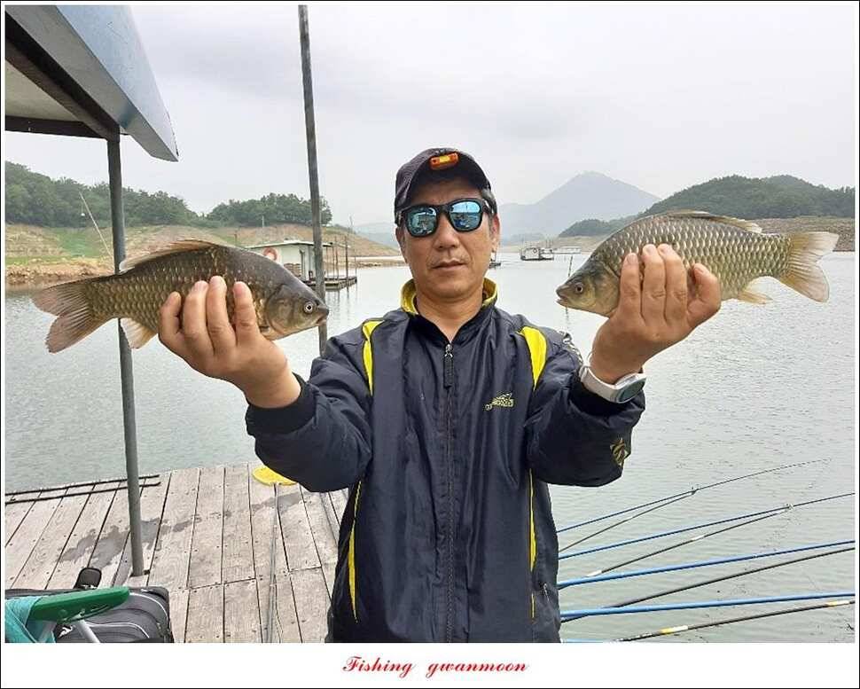 돌감좌대 월척 조황추평지 현황 (조황조행기 - 특파원조황)