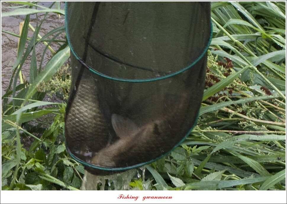 명서제일 낚시터 오름수위 현황 (조황조행기 - 특파원조황)