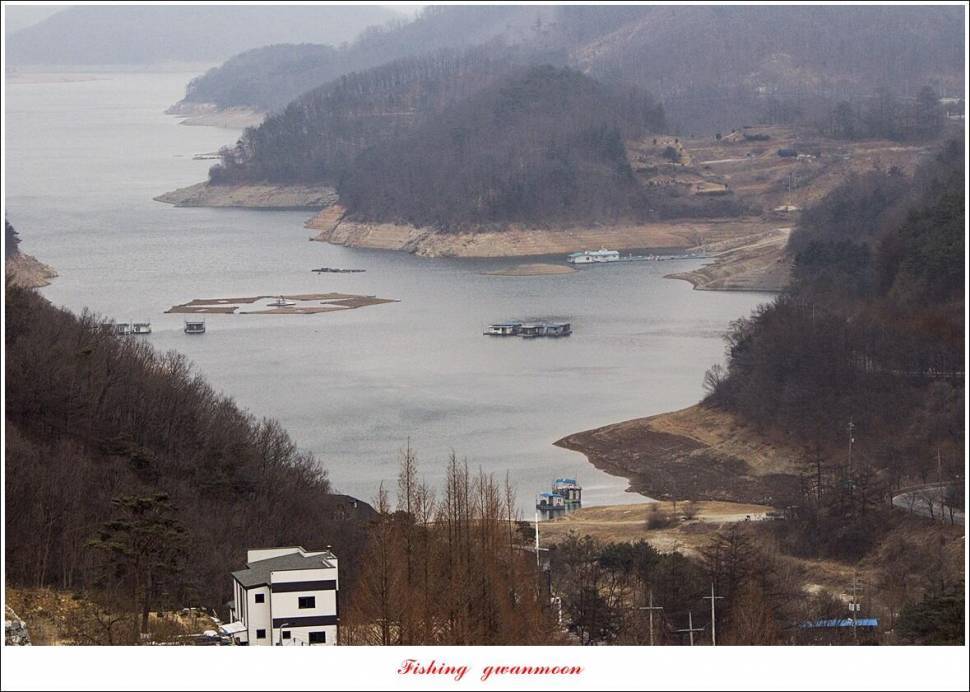 달천강 월척 조황 (조황조행기 - 특파원조황)