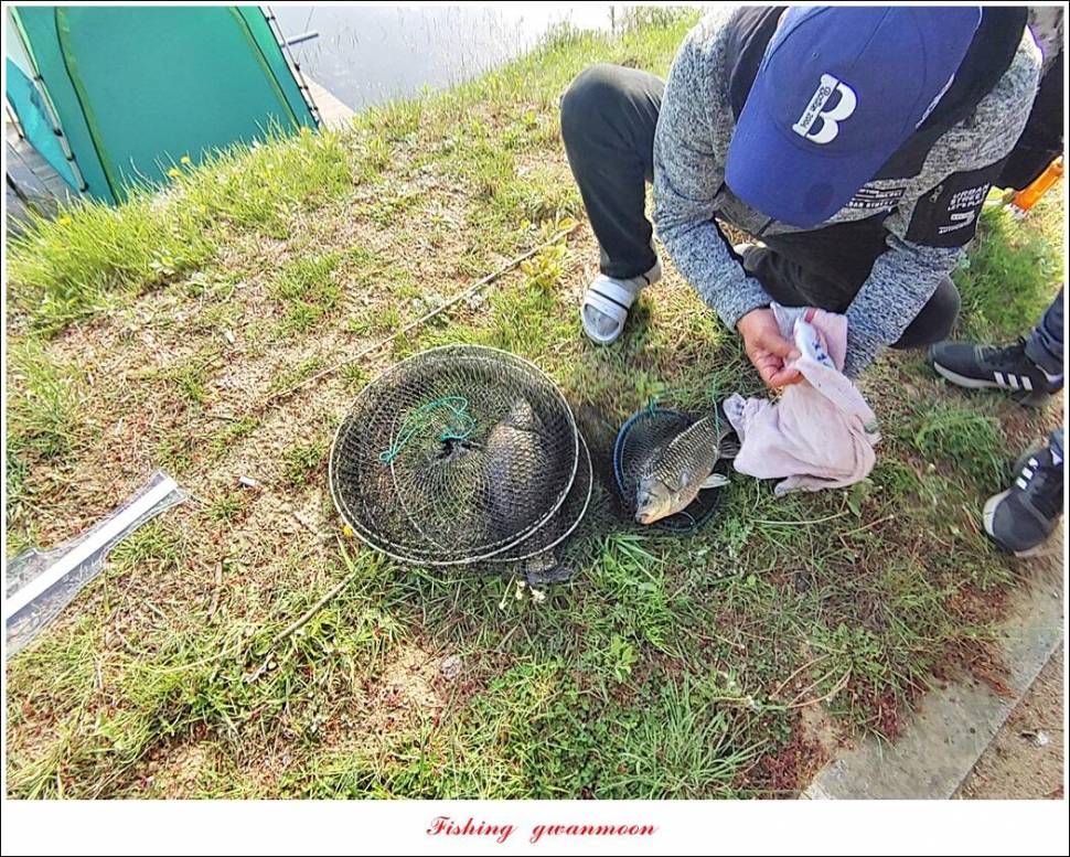 돌감충주호 노지칠성지한버들실리곡신리 4 짜 조황 (조황조행기 - 특파원조황)