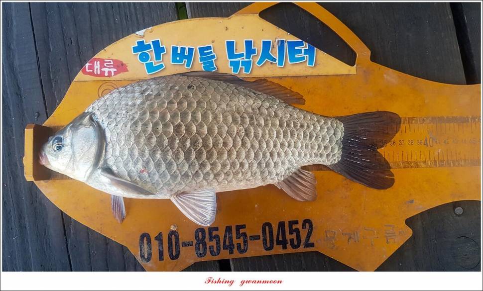 신리 4 짜 7 수실리곡 4 짜 4 수한버들 4 짜 3 수 (조황조행기 - 특파원조황)