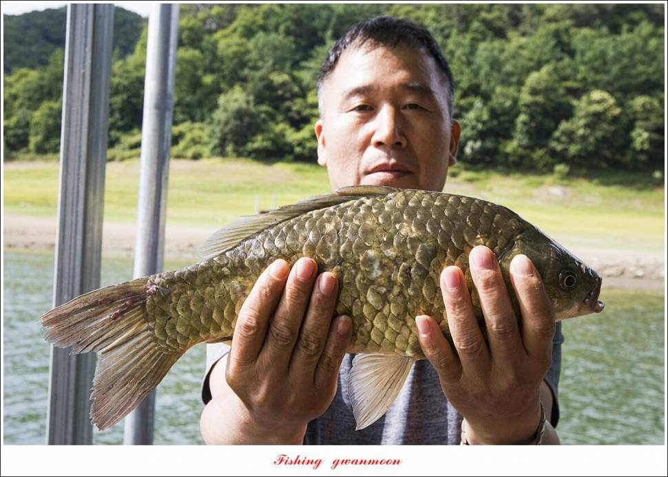 목벌 4 짜 및 월척화곡지 조황 (조황조행기 - 특파원조황)