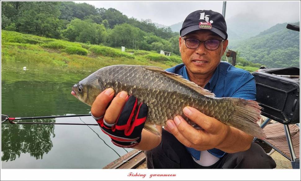 명서 4 짜한버들 4 짜화곡지 호조황 (조황조행기 - 특파원조황)