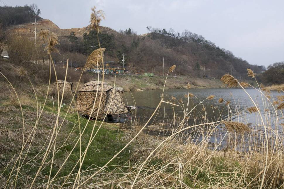 한버들 4 짜솔 38 cm화곡지 4 짜달천강 4 짜 (조황조행기 - 특파원조황)