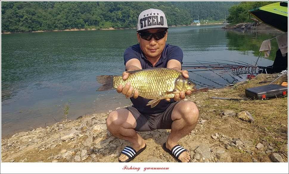 화곡지 사짜덕곡 37 cm추평지 조황 (조황조행기 - 특파원조황)