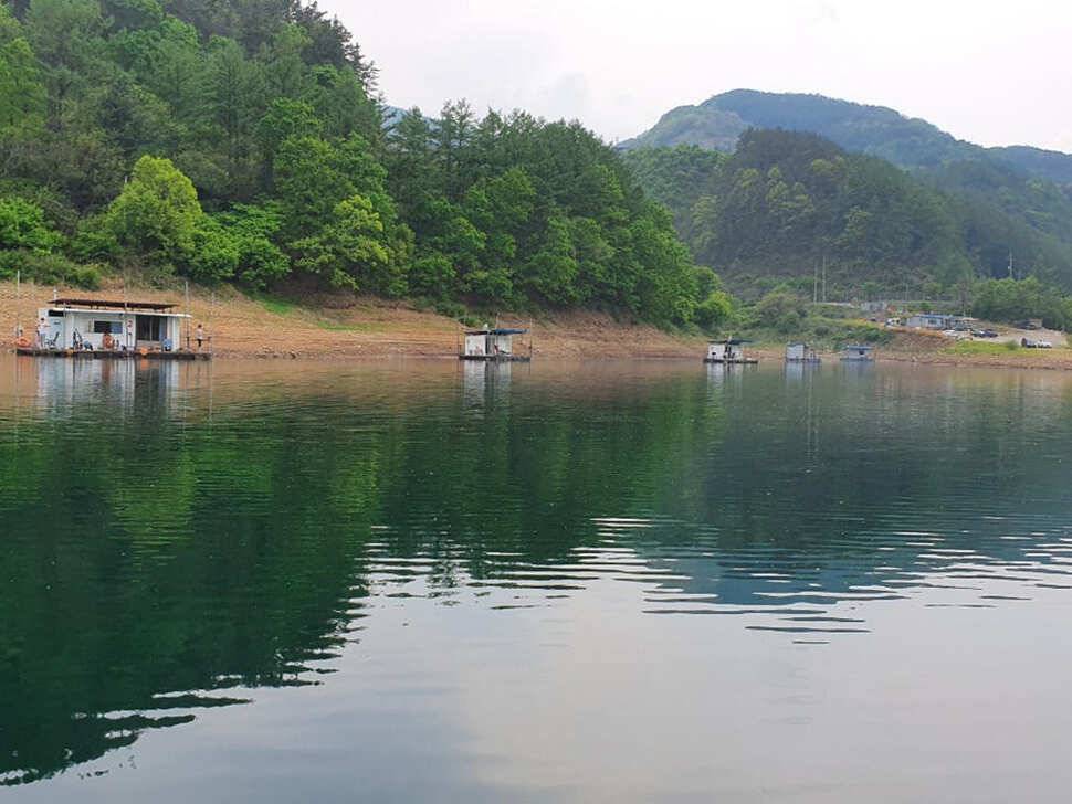 새 단장을 마친 목벌낚시터 4짜 대물붕어 소식 (조황조행기 - 특파원조황)
