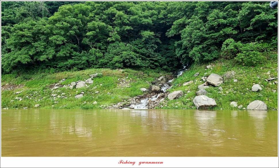 충주호 2 차 오름수위명서목벌화곡지 조황 (조황조행기 - 특파원조황)