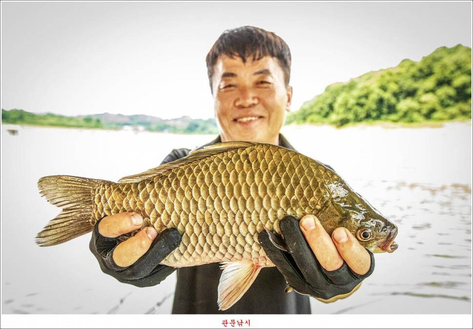 제일 낚시터 대박 조황명서 낚시터 호조황 (조황조행기 - 특파원조황)