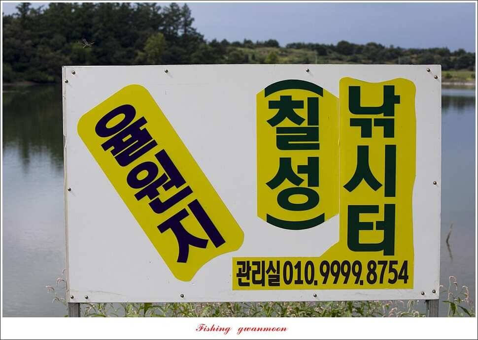 제일 낚시터칠성지 조황 (조황조행기 - 특파원조황)