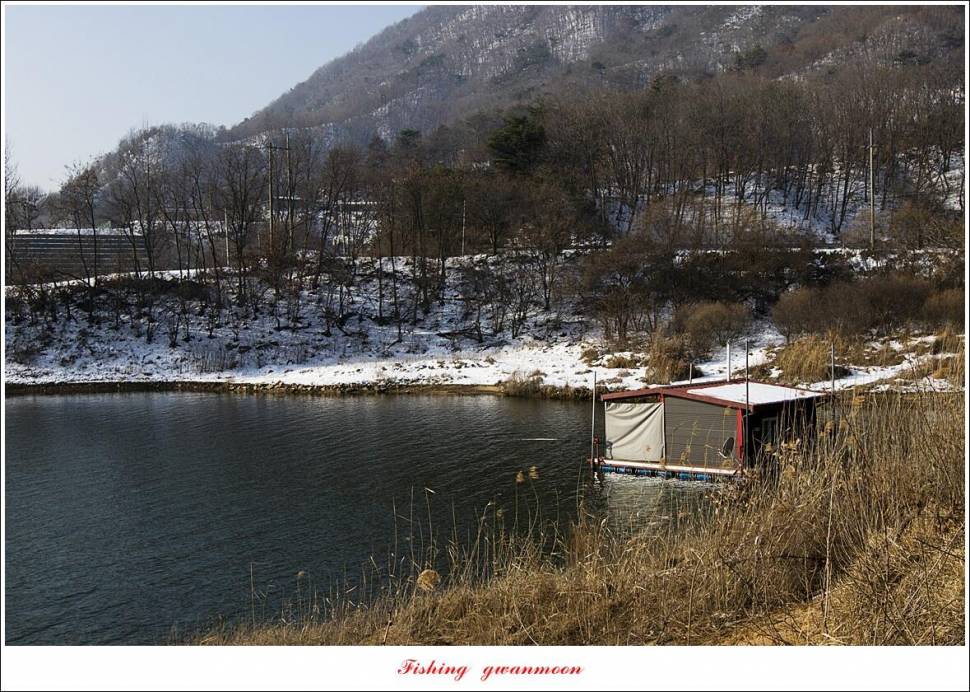 솔 4 짜신리 4 짜 대물 조황 (조황조행기 - 특파원조황)