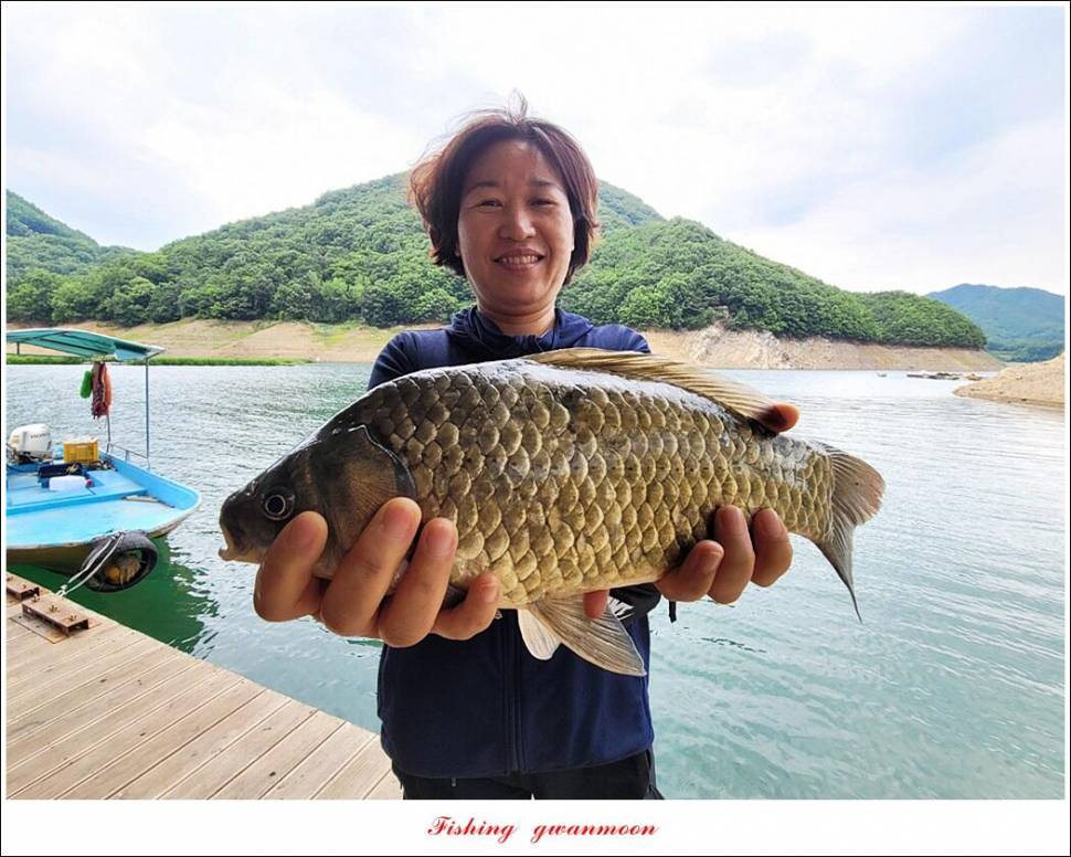 한버들 43 cm목벌 4 짜 2 수솔 낚시터사오리 월척 조황 (조황조행기 - 특파원조황)