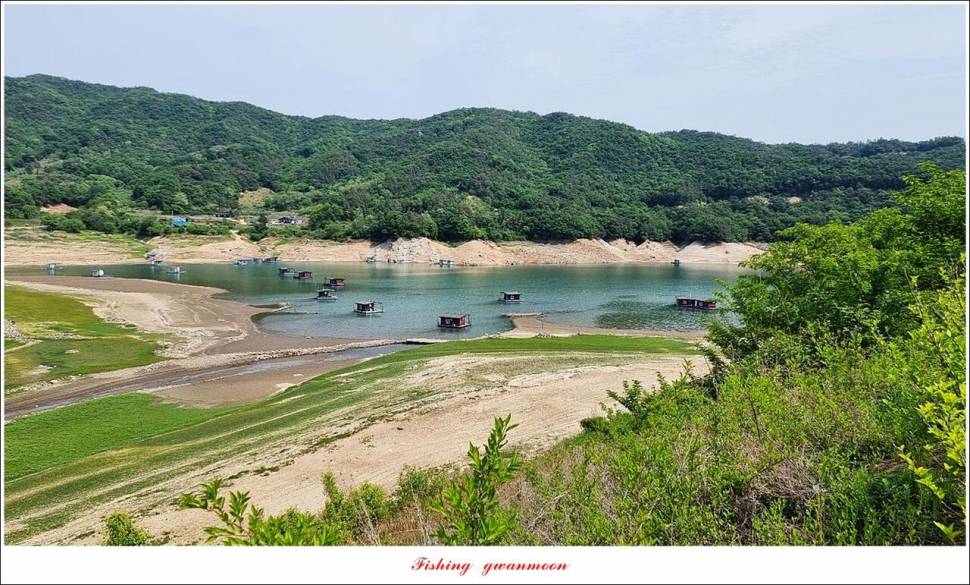 목벌 낚시터 4 짜문골돌감솔칠성지 4 짜 조황 (조황조행기 - 특파원조황)